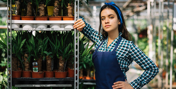 Top 5 Easy Indoor Plants for better air quality (test)