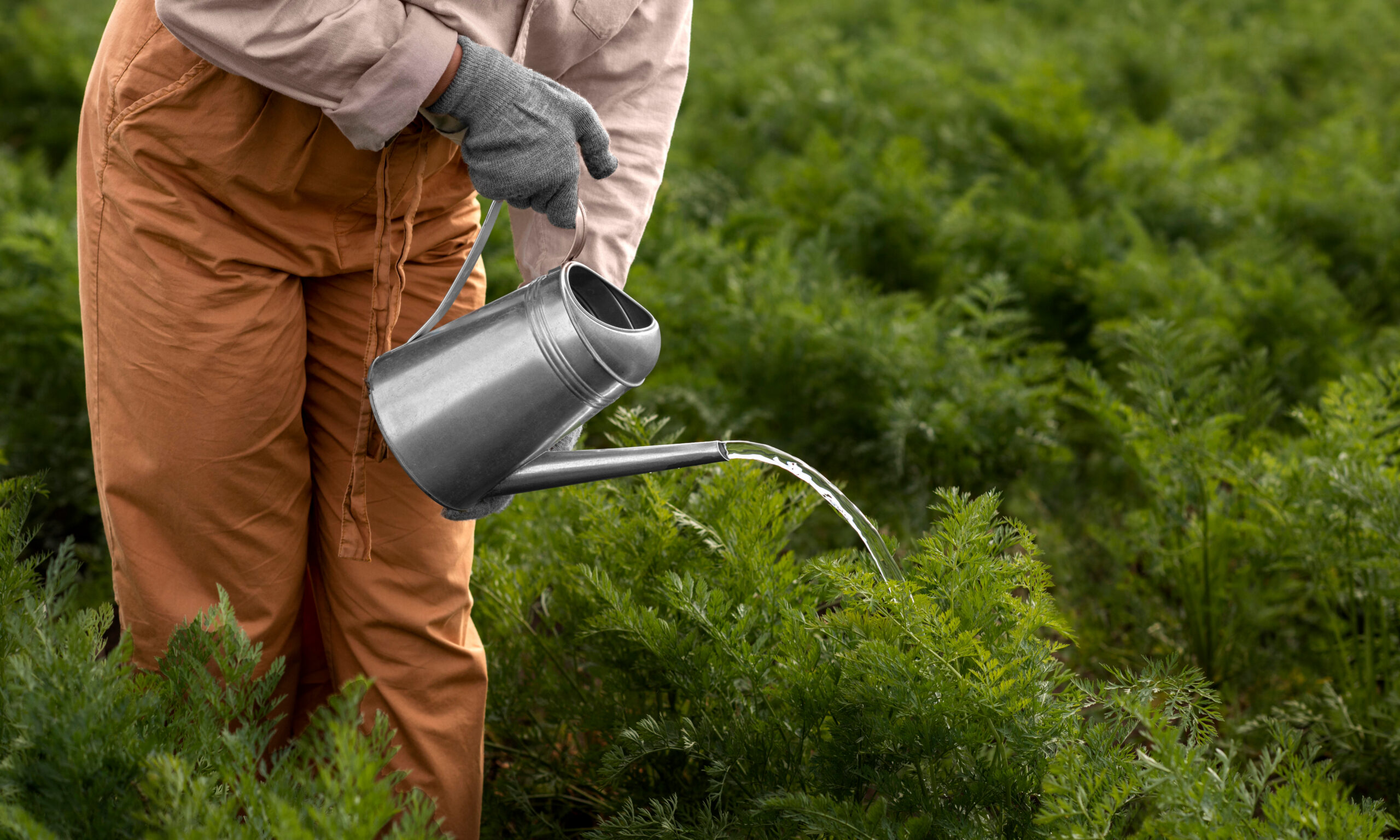 Njega & Uzgoj Biljaka