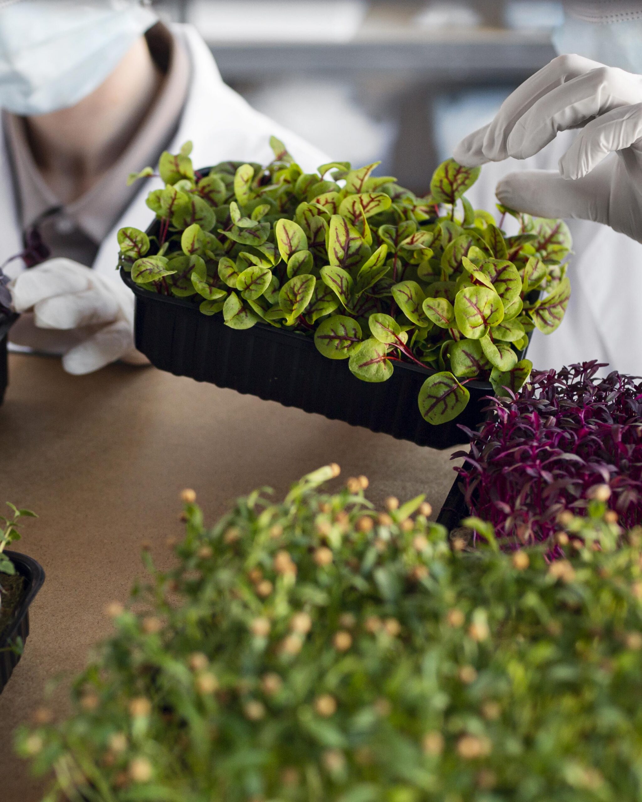 Poslovni Korisnici (B2B)