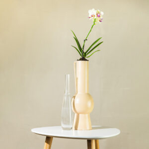 Orhideja – Phalaenopsis (bijelo-ružičasta)