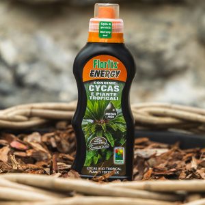 Gnojivo Energy za palme 500 g