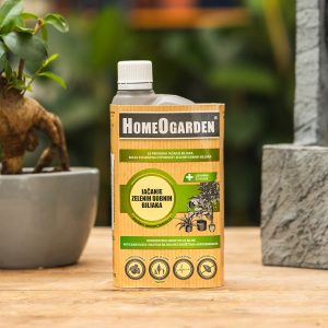 Jačanje zelenih sobnih biljaka