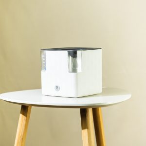 Sobna tegla 'samonavodnjavajuća' - 14cm