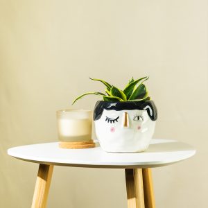 Sobna tegla 'Face' - 10 cm